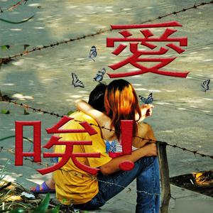 包头窗帘杆生产厂家用小狼营销导航
