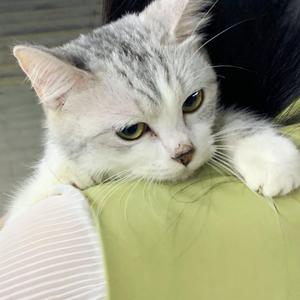 包头窗帘杆生产厂家用小狼营销导航
