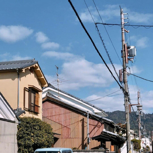 包头窗帘杆生产厂家用小狼营销导航
